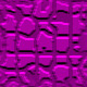 bck086.jpg