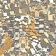 bck019.jpg