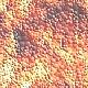 bck058.jpg